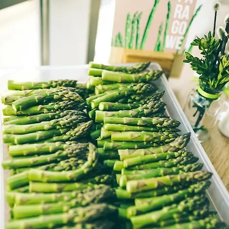 Oda ve Kahvaltı Poznanska19 Nowy Tomyśl