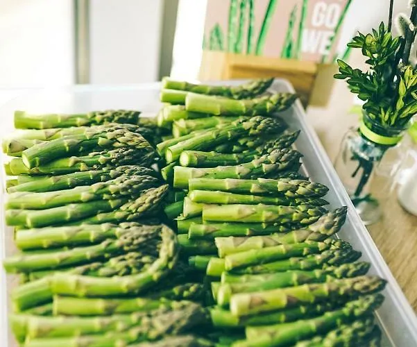 Bed & Breakfast Poznanska19 Nowy Tomysl